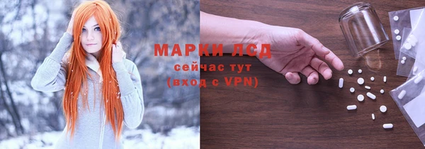 соль ск Кулебаки