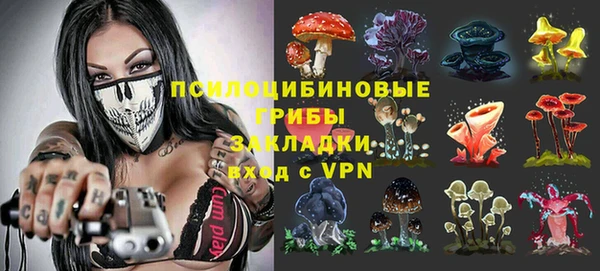 соль ск Кулебаки