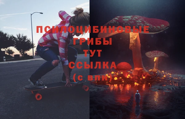 мдпв Куйбышев