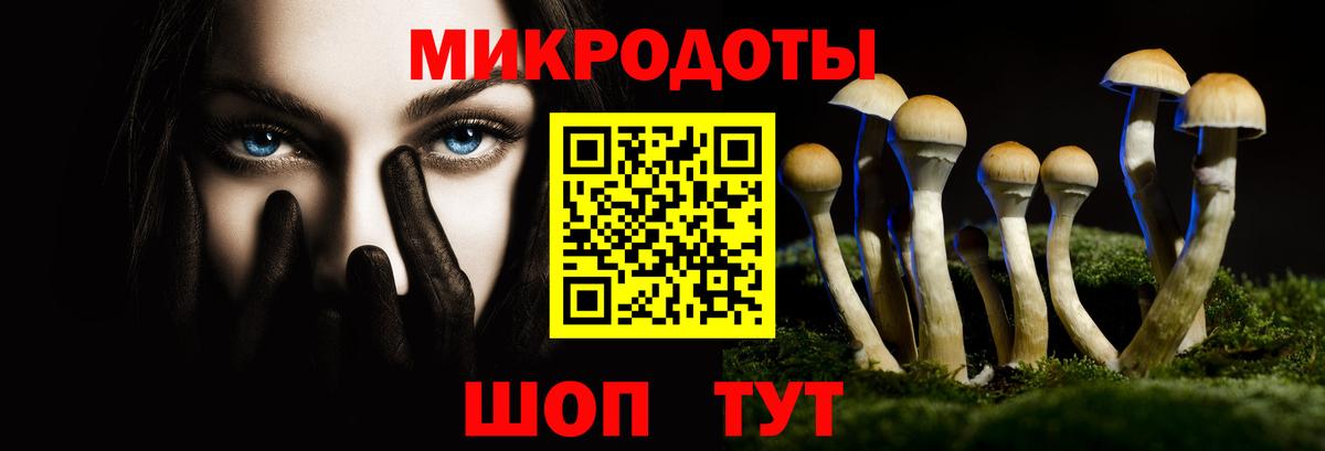 Хасавюрт  Псилоцибиновые грибы мухоморы  Вход с VPN  Галлюциногенные грибы Psilocybine cubensis 